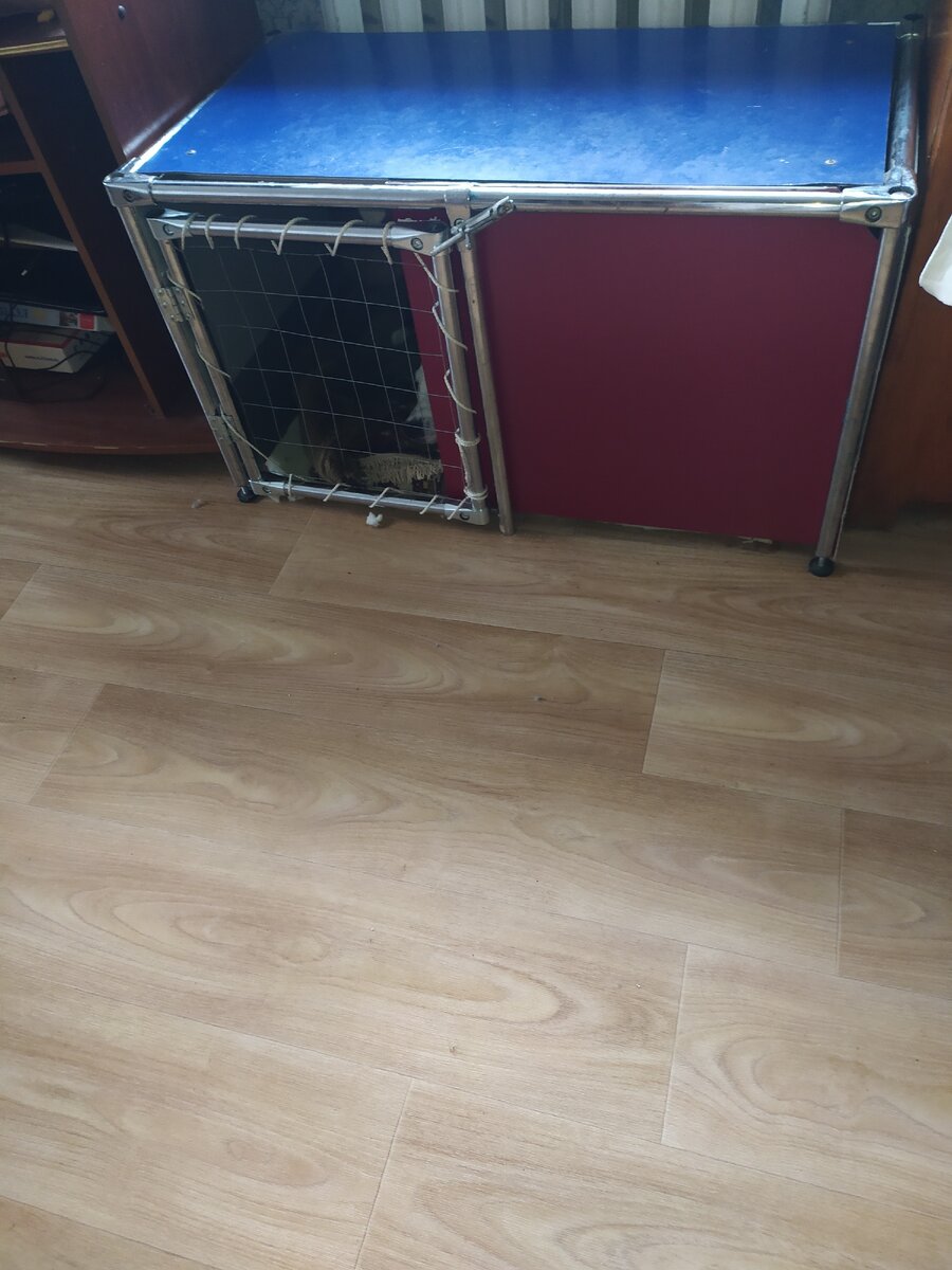 Клетка для собак.