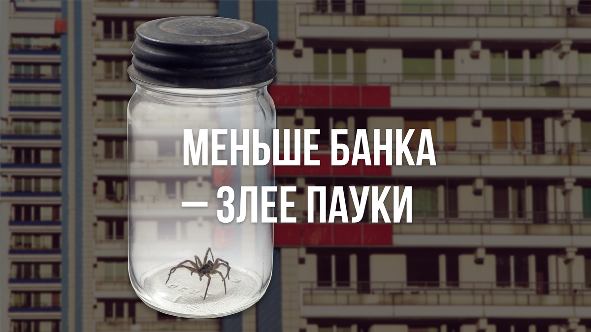 Про соседские чаты