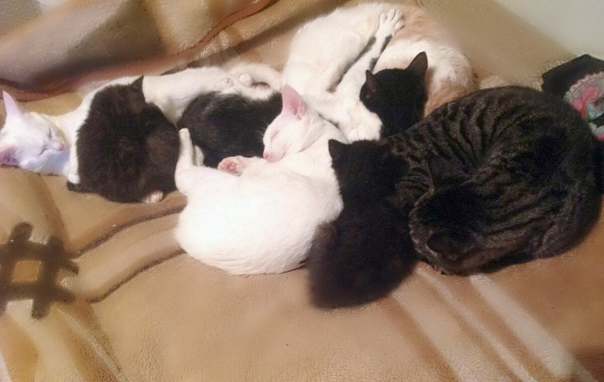 Ну что, кто из вас самый добрый?