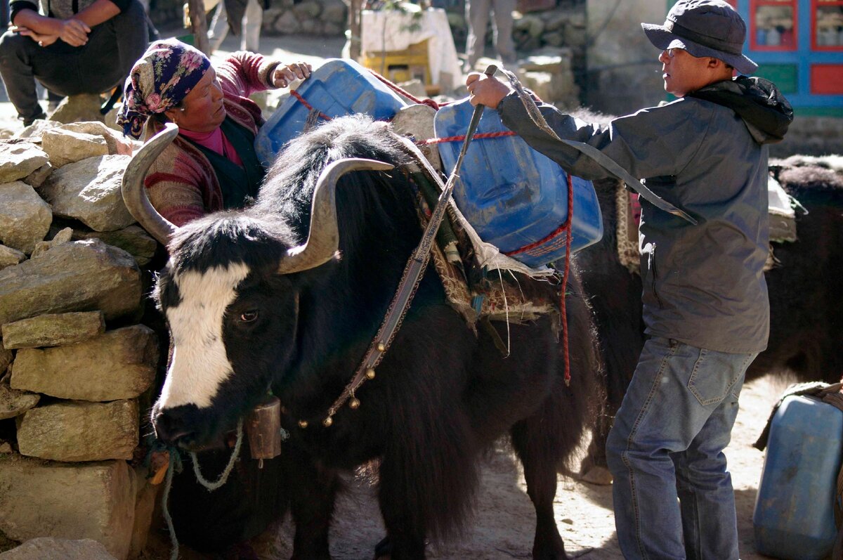 Загрузка местного автомобиля