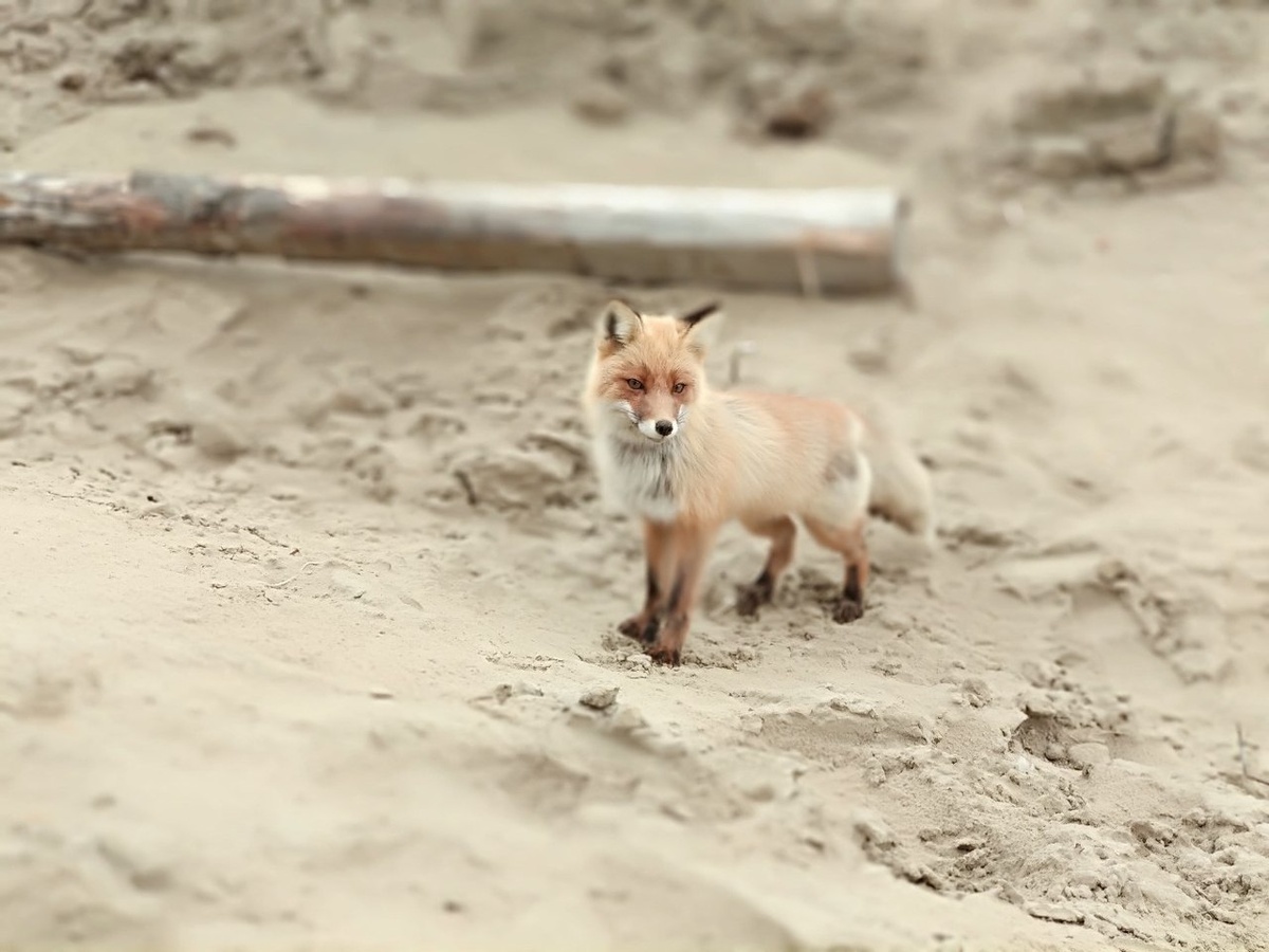 Турция, Фетхие (Фото автора)