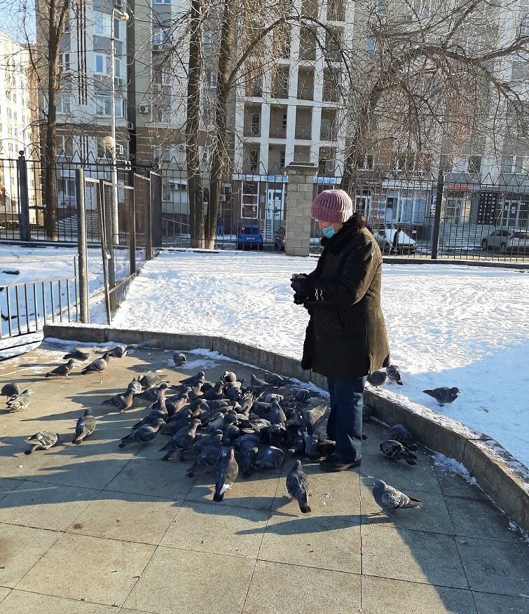 Лопают, аж за "ушами" трещит.