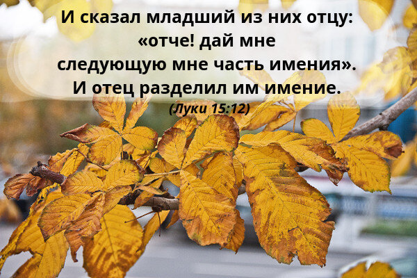 "Дай мне!" - эти слова мы произносим, как только начинаем говорить, а большинство повторяют требование до конца своей жизни.