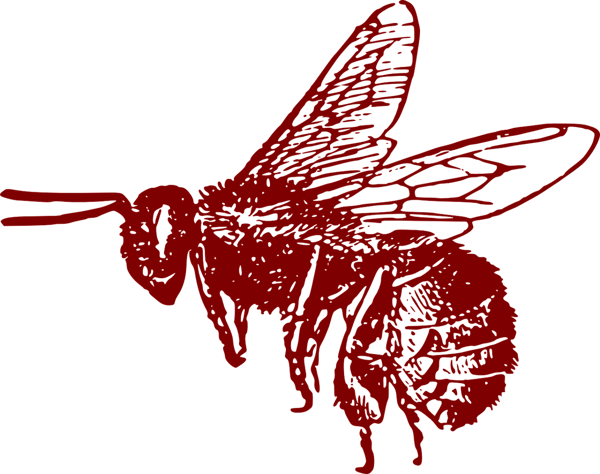 pixabay.com