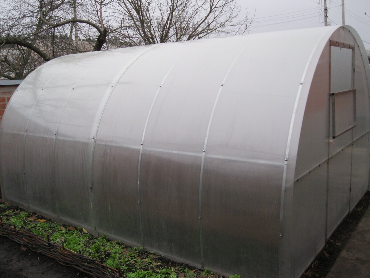 От северного ветра теплицу защищает дом.