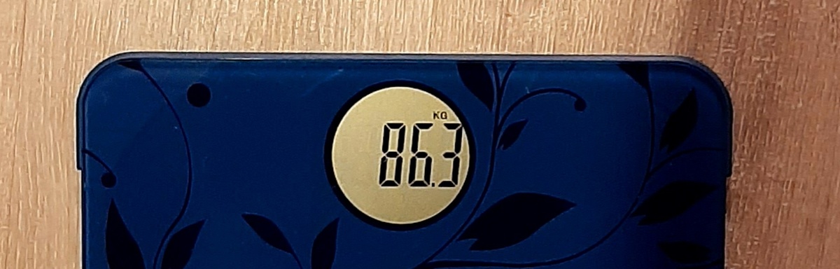 Минус 3,7 кг за две недели... Маловато будет...