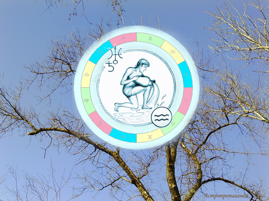 Коллаж Нины Стрелковой.