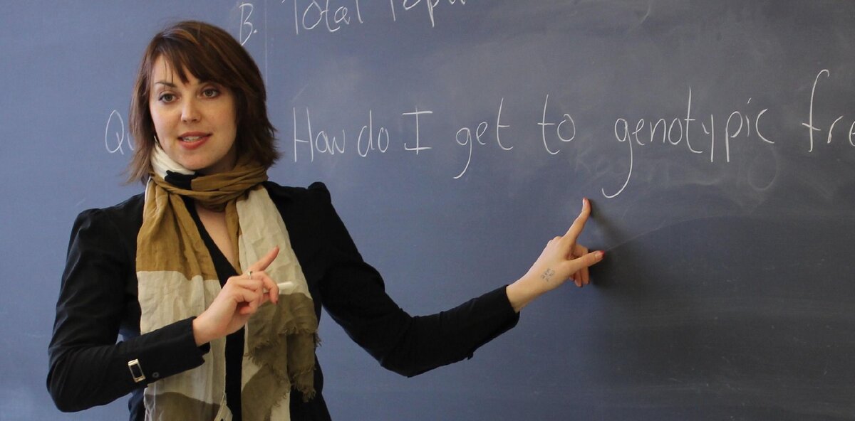 Фото из открытого источника.