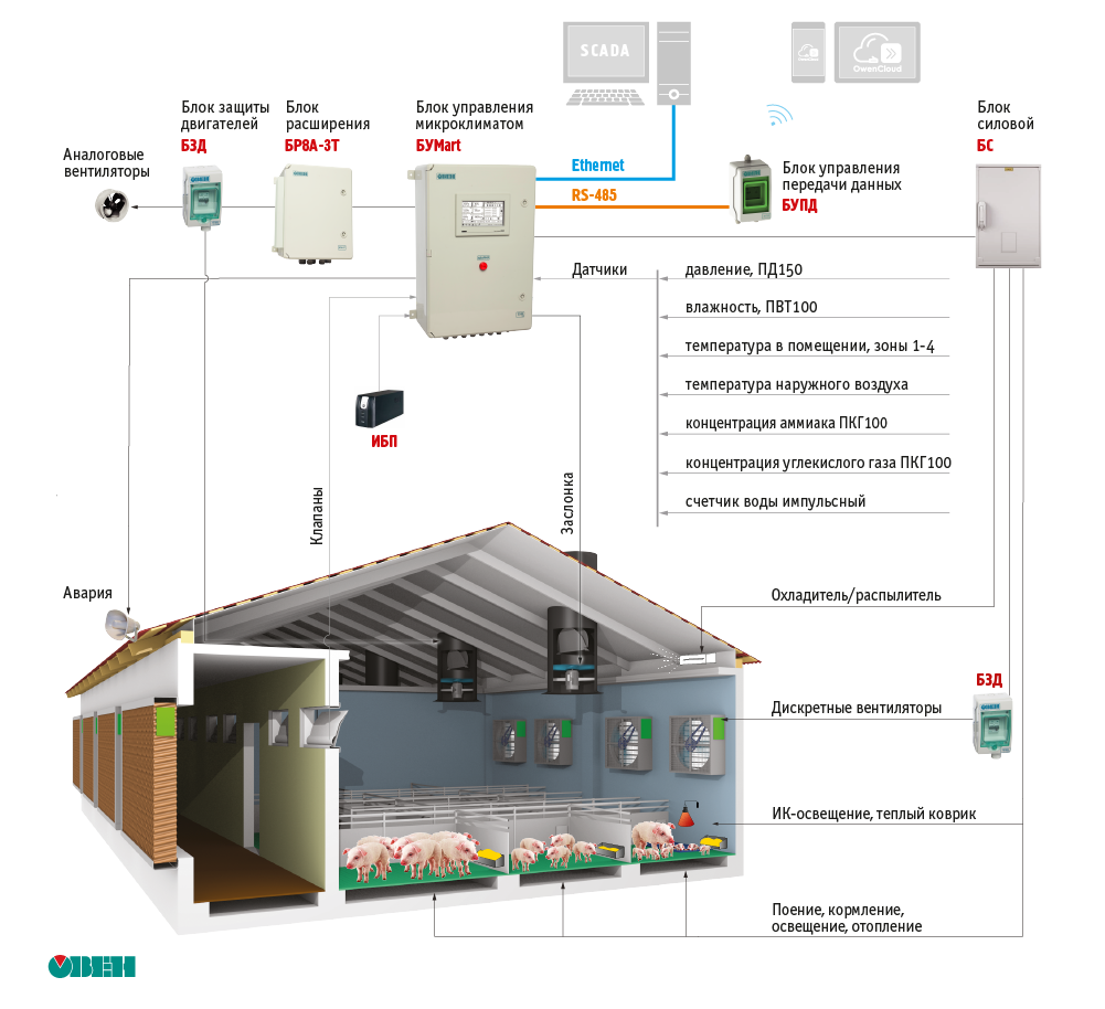 Микроклимат в свиноводческих хозяйствах | ОВЕН. Приборы для автоматизации |  Дзен