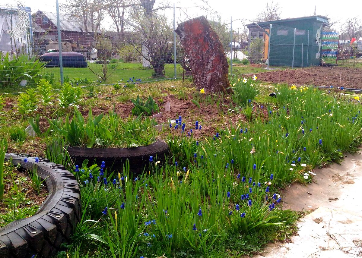 Фото автора