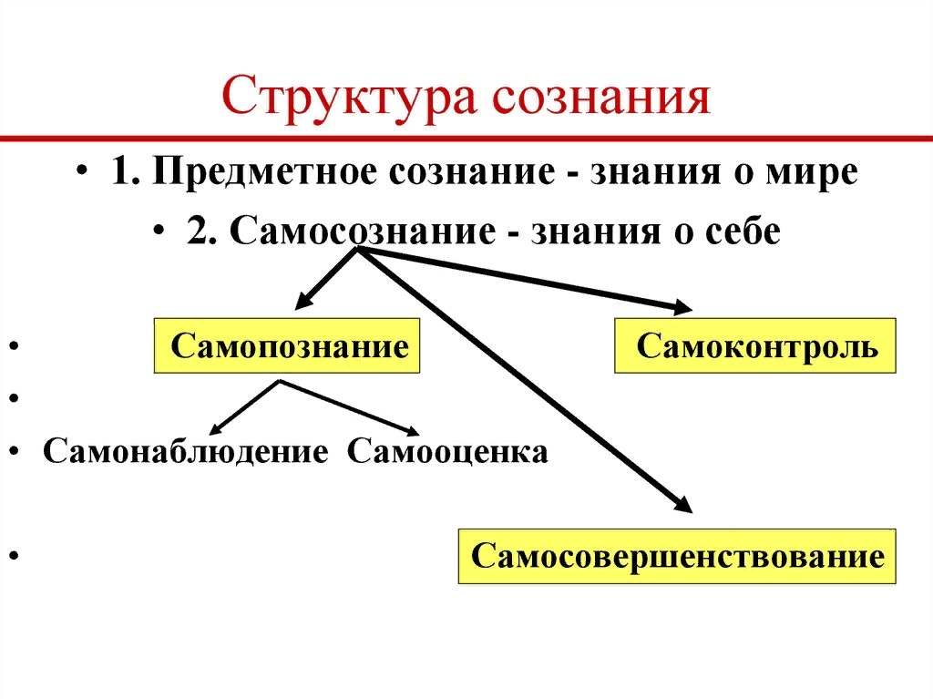 Сознание выполняет функции