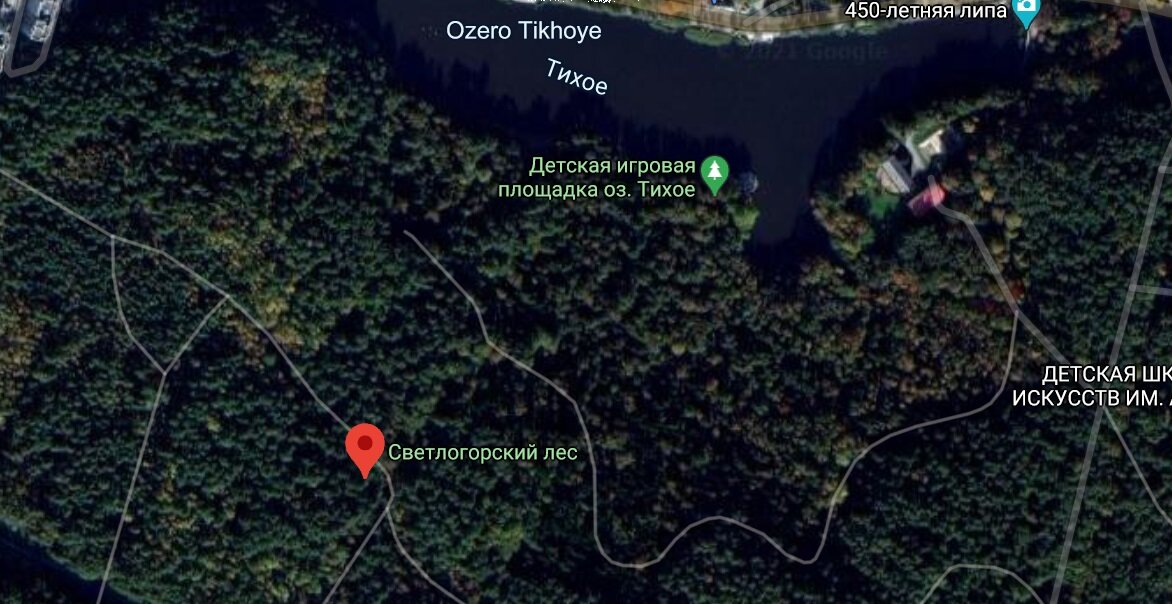 Фото: Google-карты 