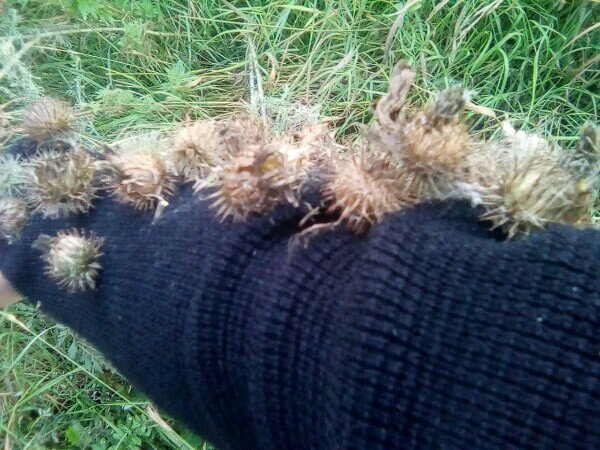 Что делает корвалол во фломастерах?