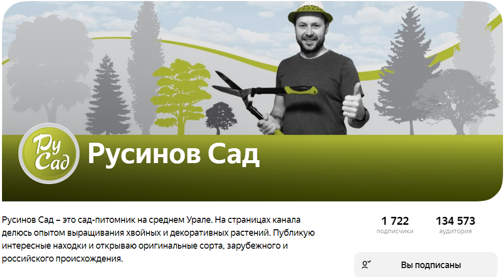 https://zen.yandex.ru/rusinovsad