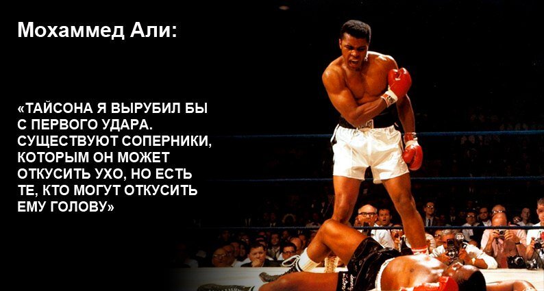 Фото взятое из яндекс находится в свободном доступе