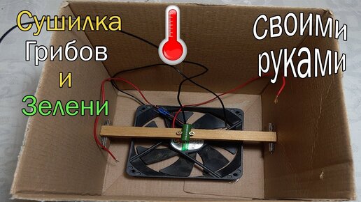 Самая простая электросушилка для зелени и грибов сделанная своими руками