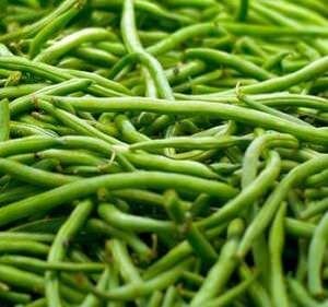 Стручковая фасоль (39 фото): как вырастить ее из семян в огороде + советы по выращиванию и уходу