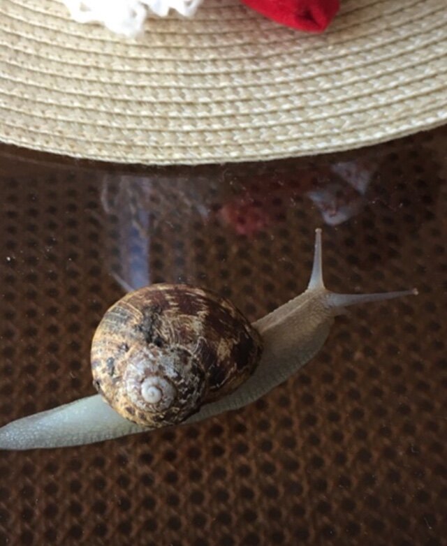 Личное фото