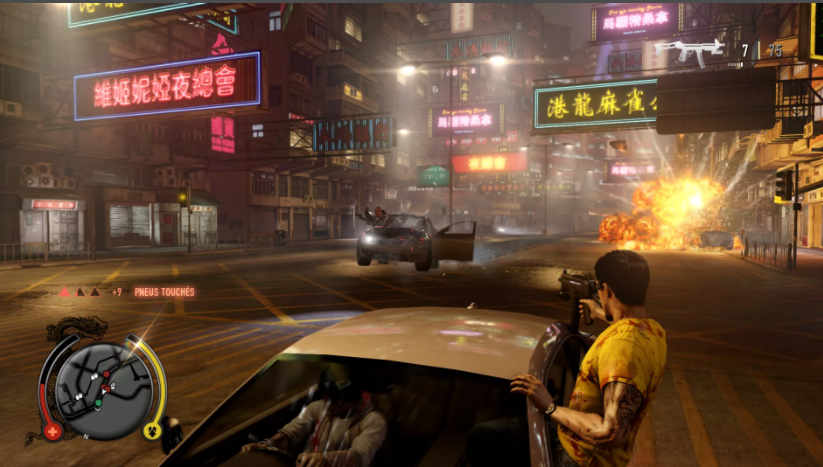 Sleeping Dogs.