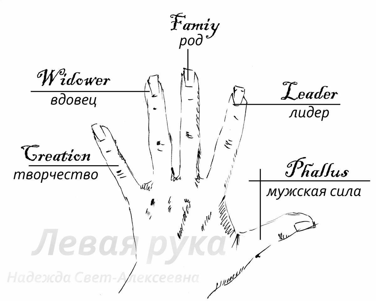 Кольца обозначения на руках