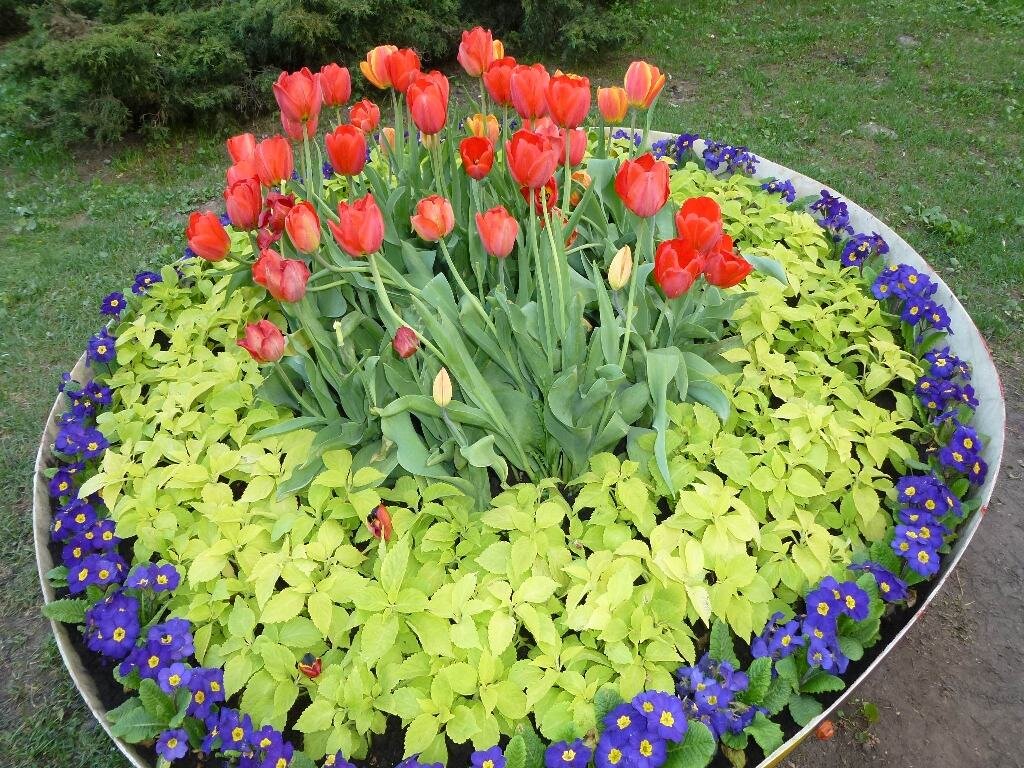 Композиция у входа - 1