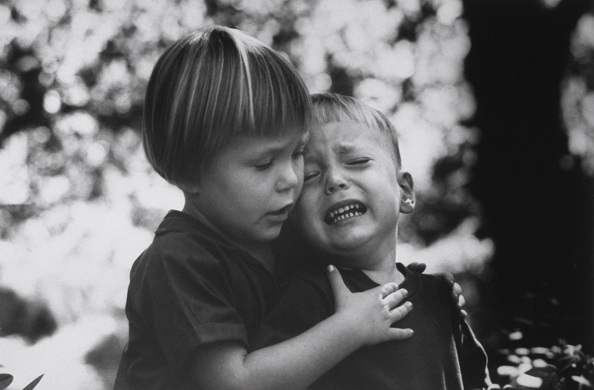 Изображение из открытого каталога Яндекса.