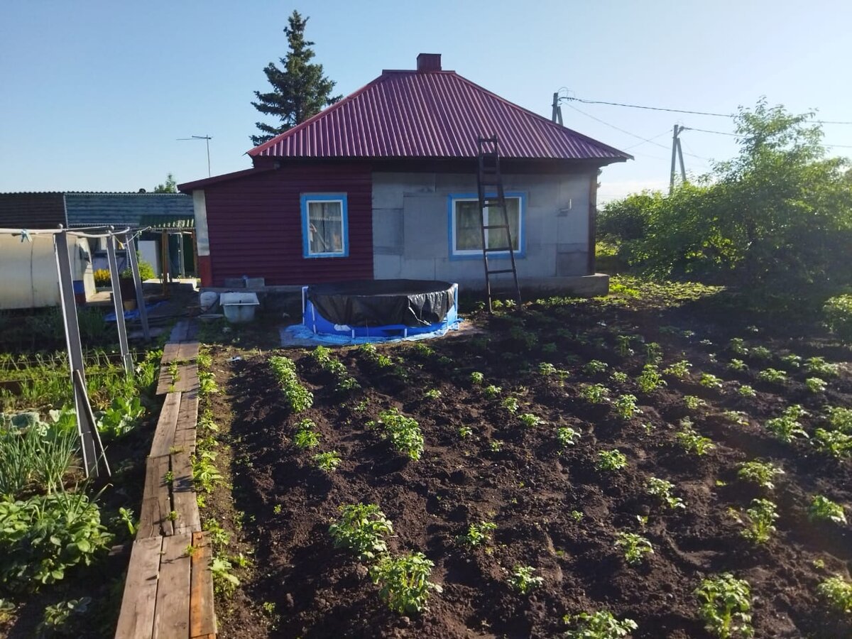 Мой дом-дача, фото старое, еще с июня