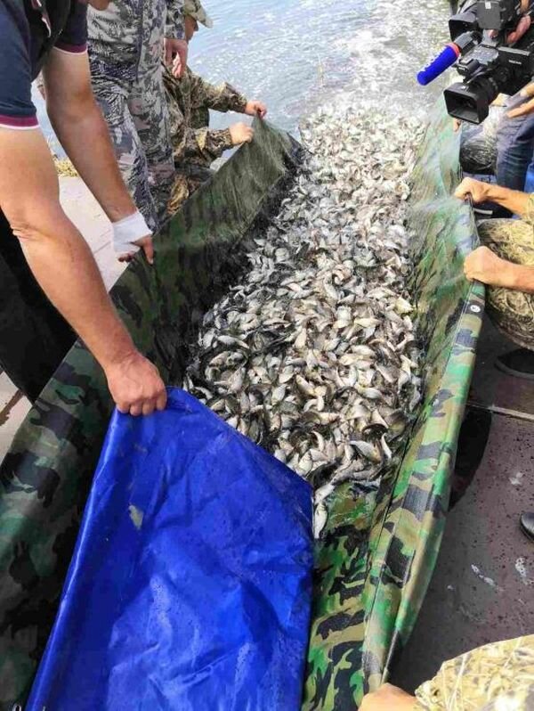 Источник фото: rostov-fishcom.ru/news