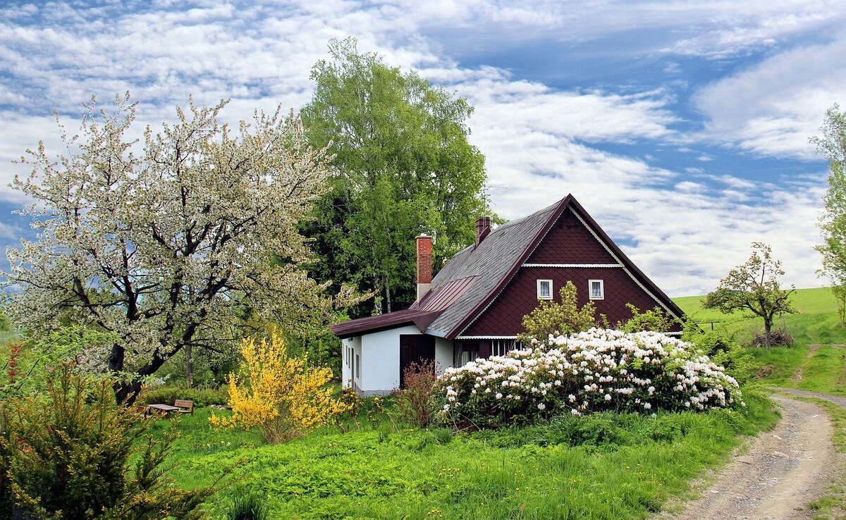 Фото с сайта Pixabay
