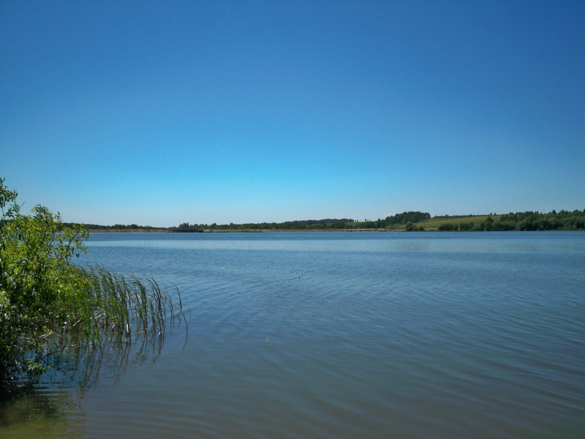 Логовское водохранилище на реке Чесноковке