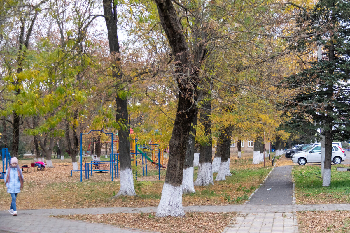 Станица Новоминская в начале века немного пришла упадок, а сейчас  расцветает на глазах | Южная жизнь | Дзен