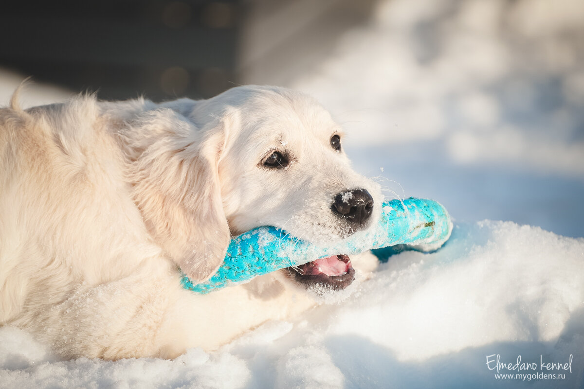 Маленькая Мия.