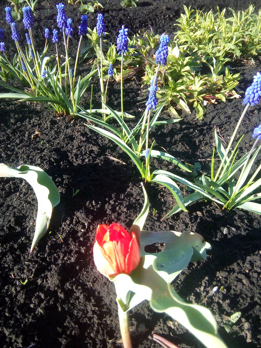 Из личного архива