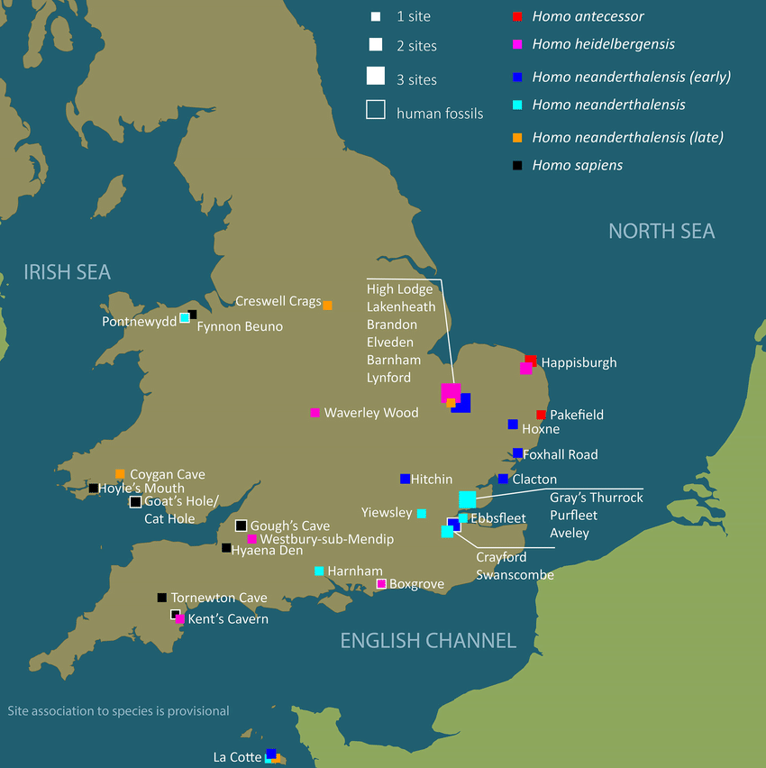 Схема расположения основных палеолитических археологических памятников Британииhttps://www.researchgate.net/figure/Current-distribution-of-the-main-Palaeolithic-archaeological-sites-of-the-British-Isles_fig2_319638174