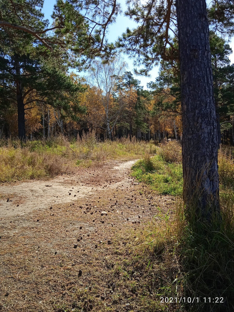 Из личных фотографий