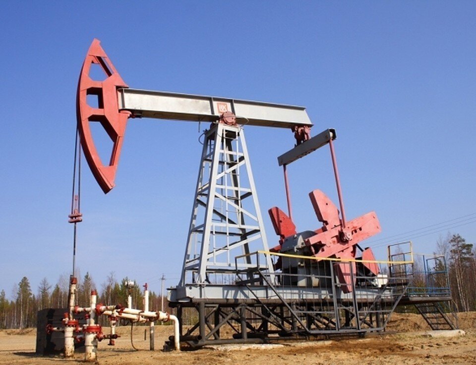     Страны ОПЕК+ решили повысить добычу нефти в мае 2022 года  РАСЮК Татьяна Витальевна