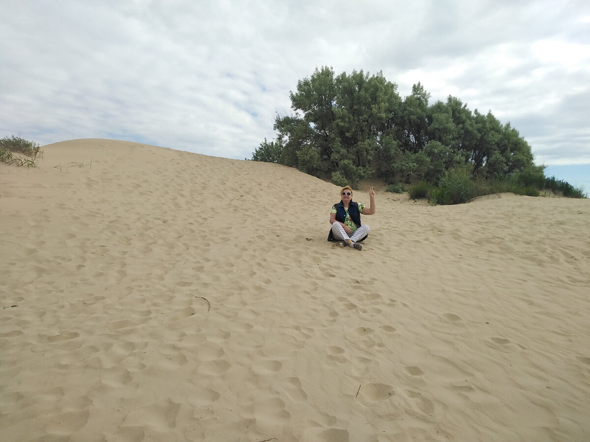 Барханы.  Лох-серебристый. 23мая.2022год.