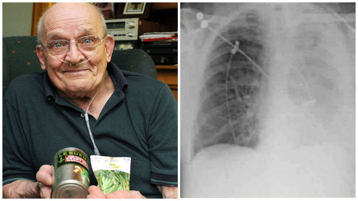 Источник "Яндекс картинки"