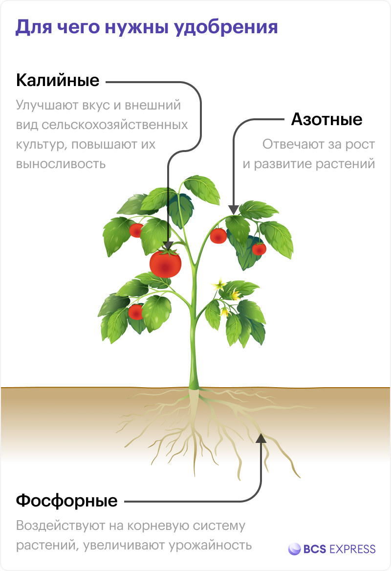 Прокормить человечество, . Минеральные удобрения, как производят.