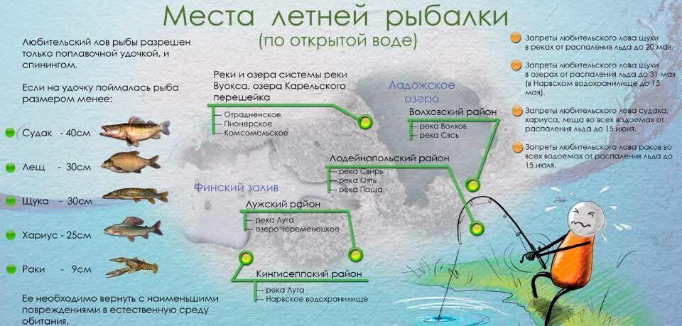 Человек ищет где лучше рыба где. Карта рыбных мест. Где можно половить рыбу бесплатно. Рыболовные места на карте. Рыбные места в Ленинградской области.