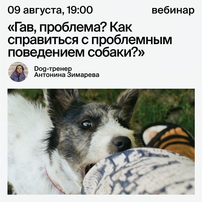 Бесплатные вебинары в Москве