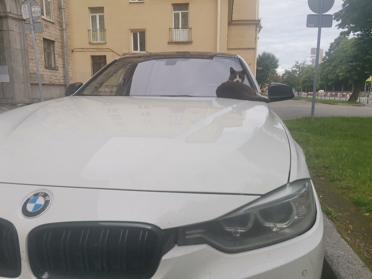 Не знаю тех, кто решил спасти свои накопления в тачке. Есть такие? Как думаете? 