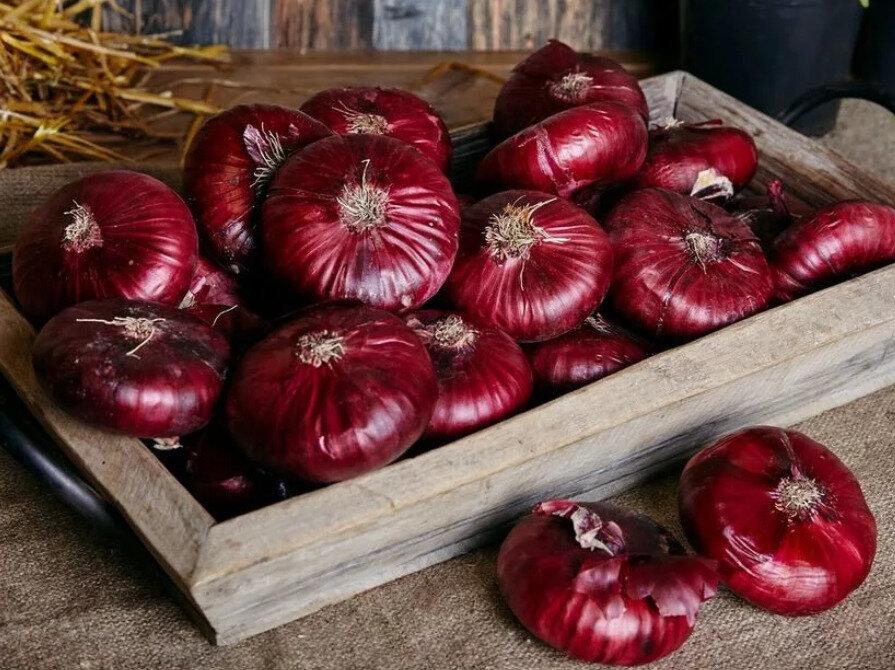Ялтинский лук. Фото из интернета.