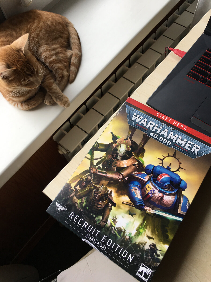 Так выглядит набор на фоне кота. Если эта запись наберет 20 лайков, то я напишу в комментариях его имя=)