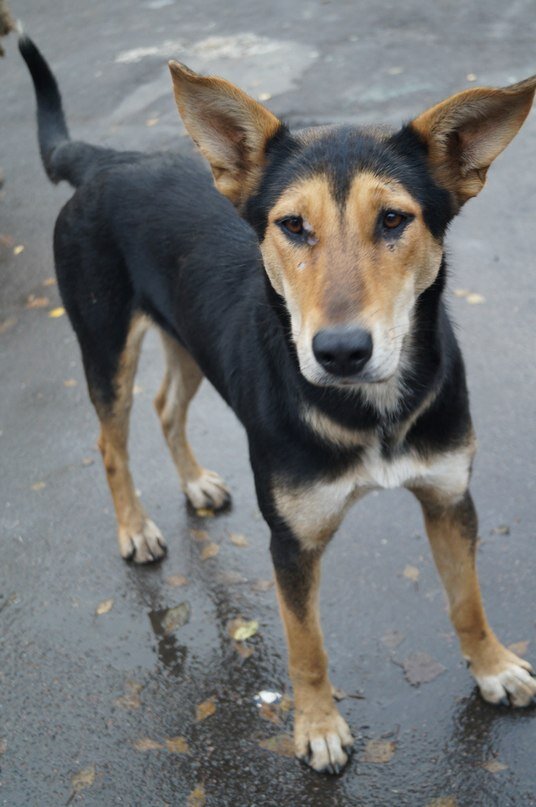 Вот такой она была в первую нашу встречу