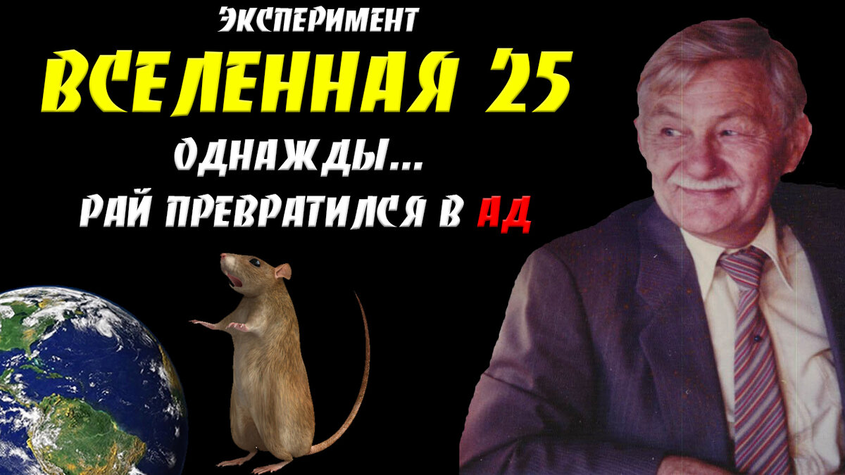 Вселенная 25