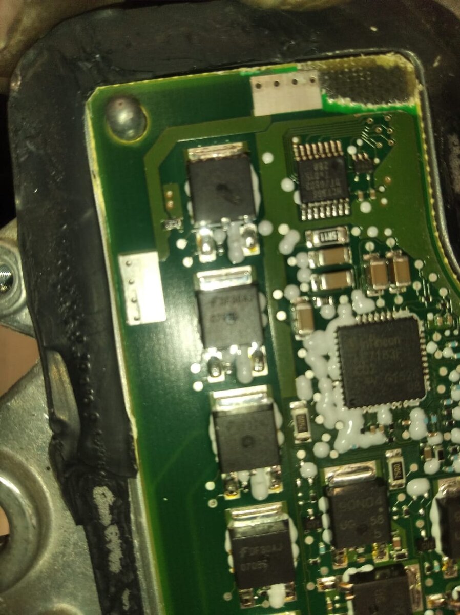 Фото из личного архива