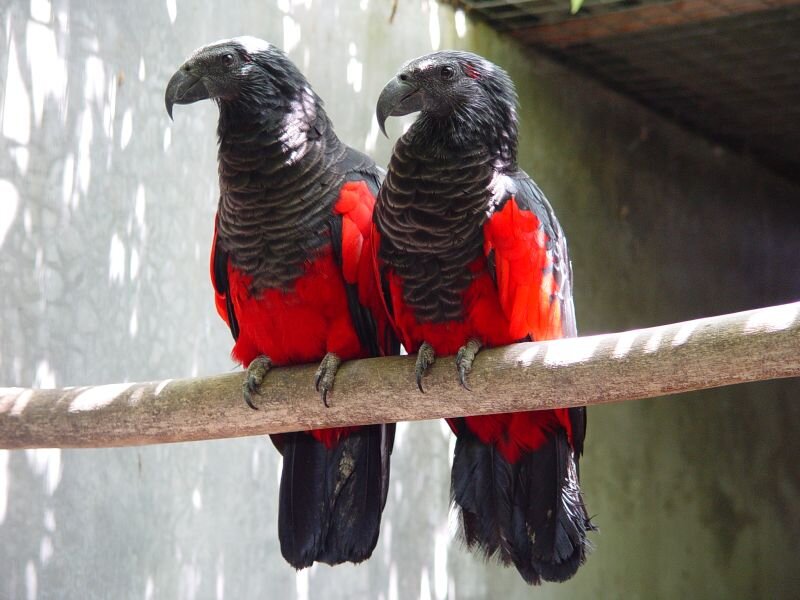 Источник фото (здесь и далее): Яндекс.Картинки