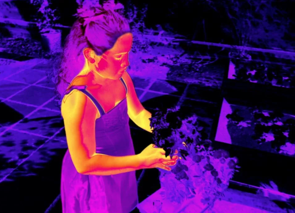 Примерно так видят змеи
 