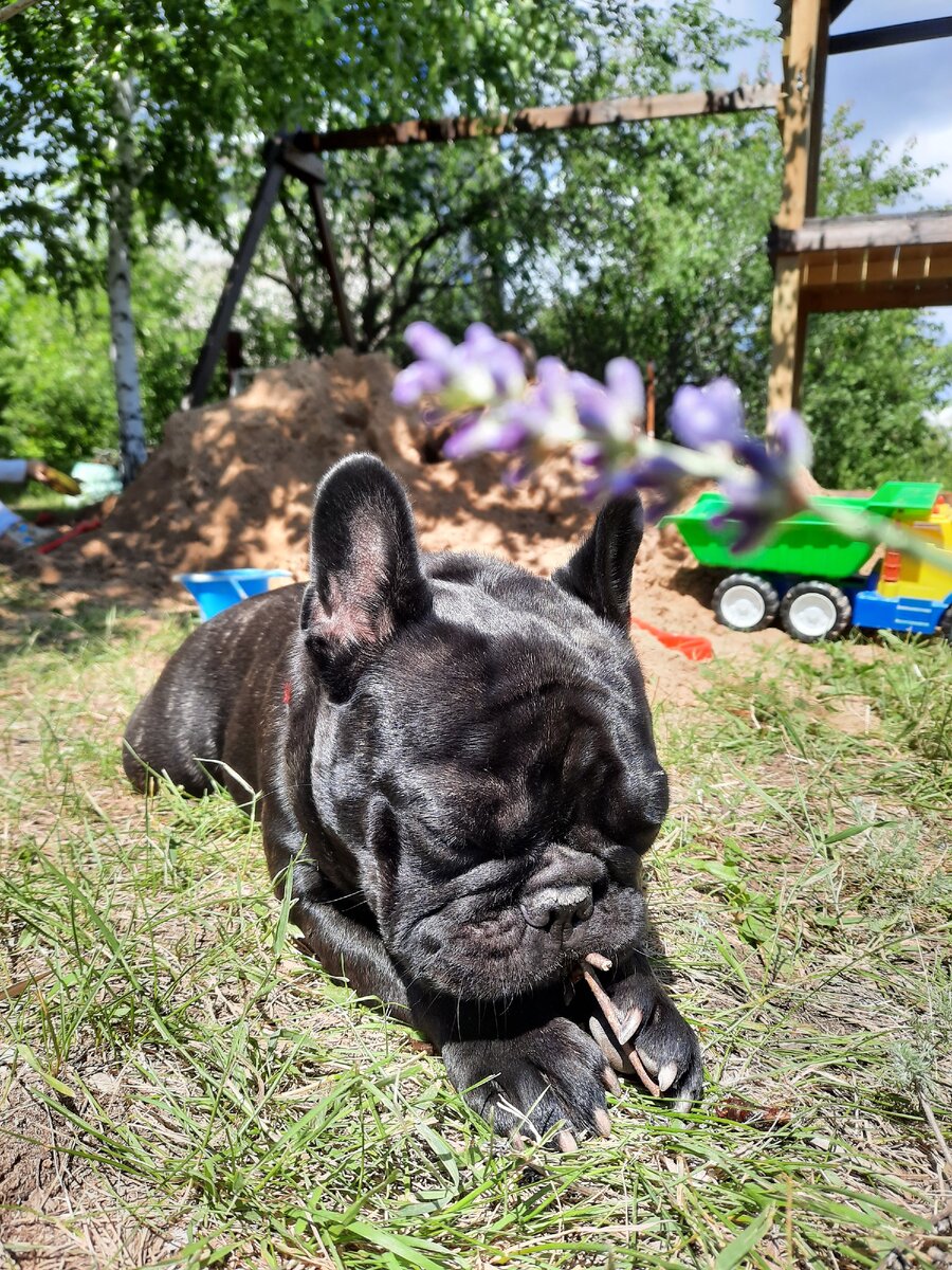 Палочки - наше всё!